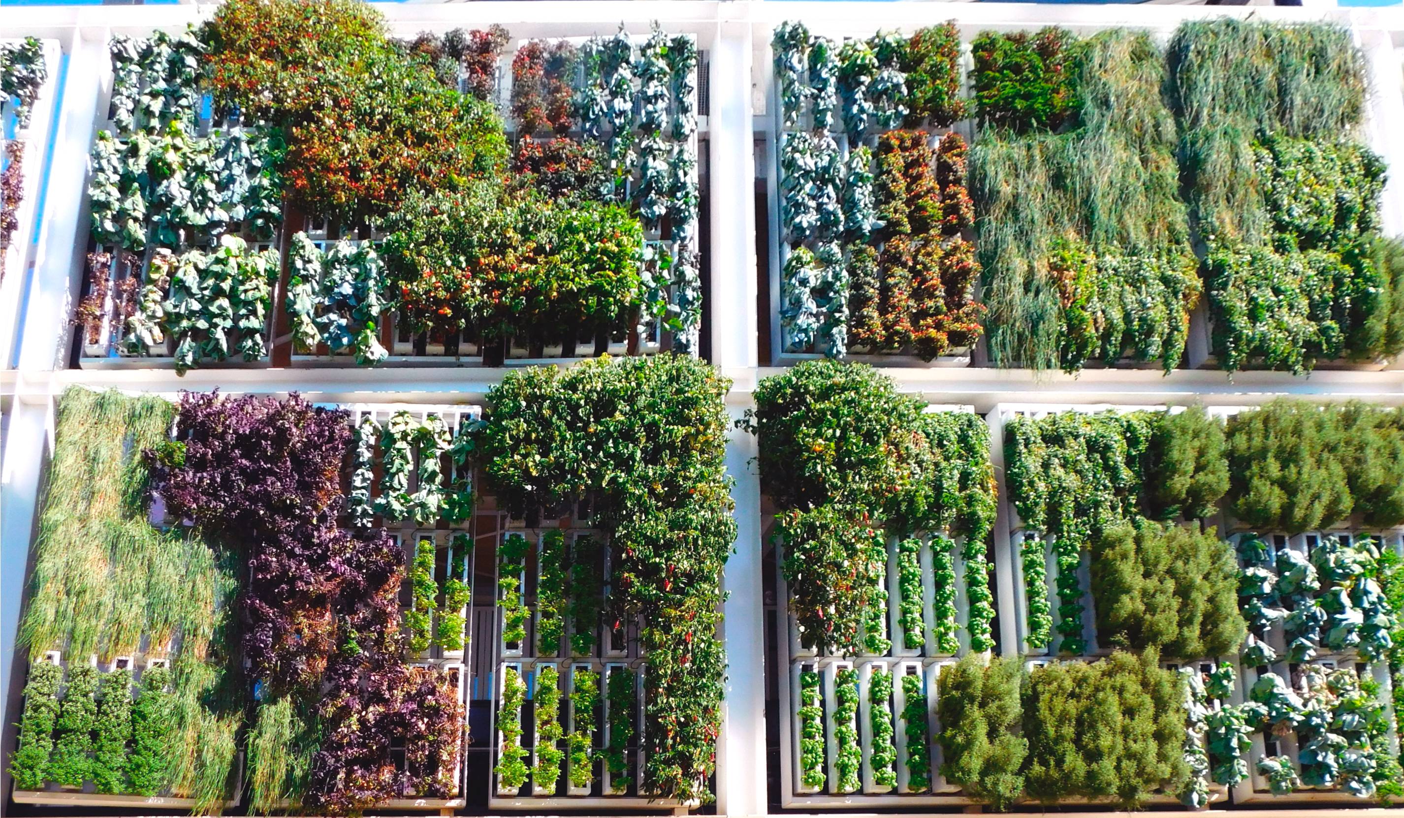 Paisajismo | Jardinería | Parquización | PAIZEN