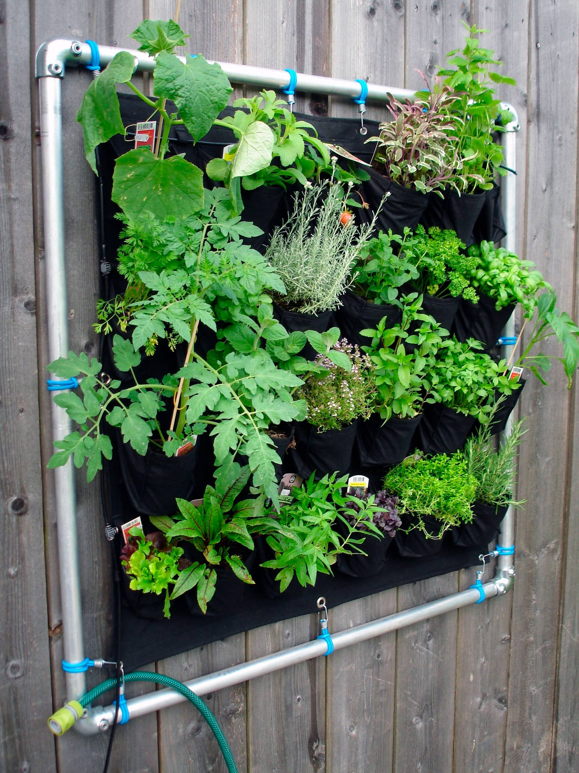 Paisajismo | Jardinería | Parquización | PAIZEN