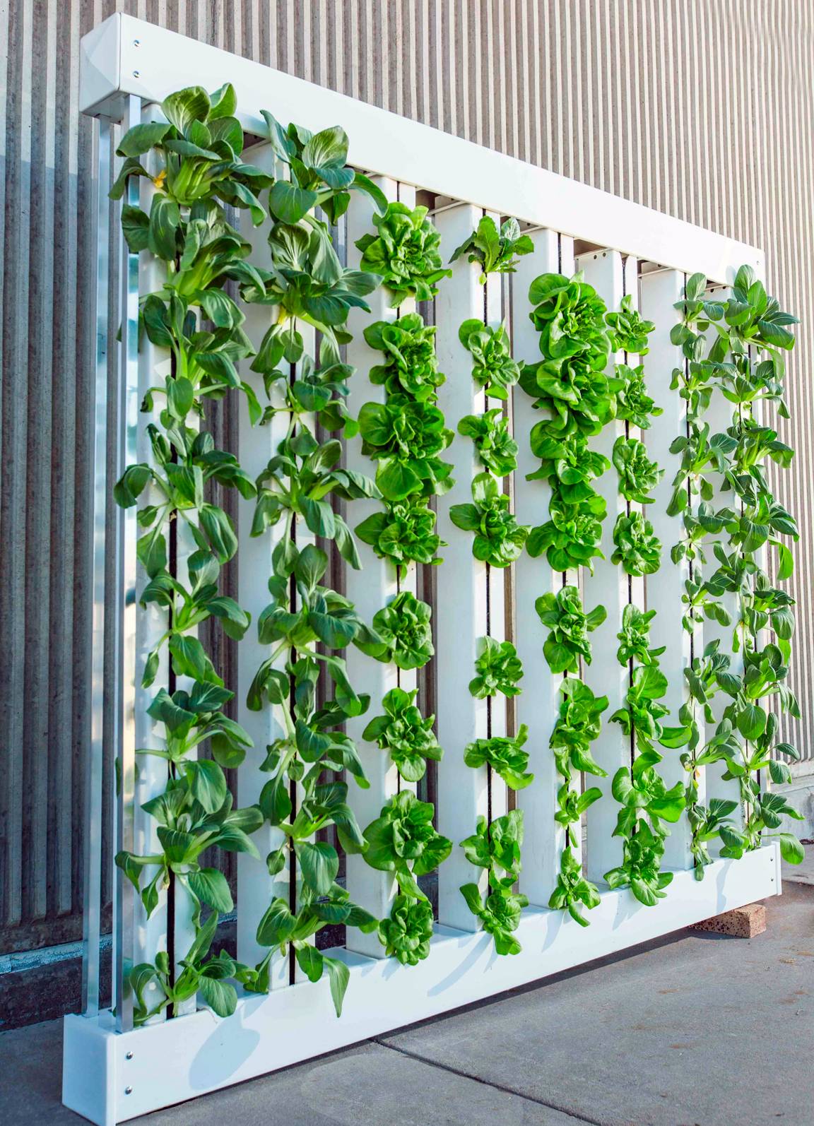 Paisajismo | Jardinería | Parquización | PAIZEN