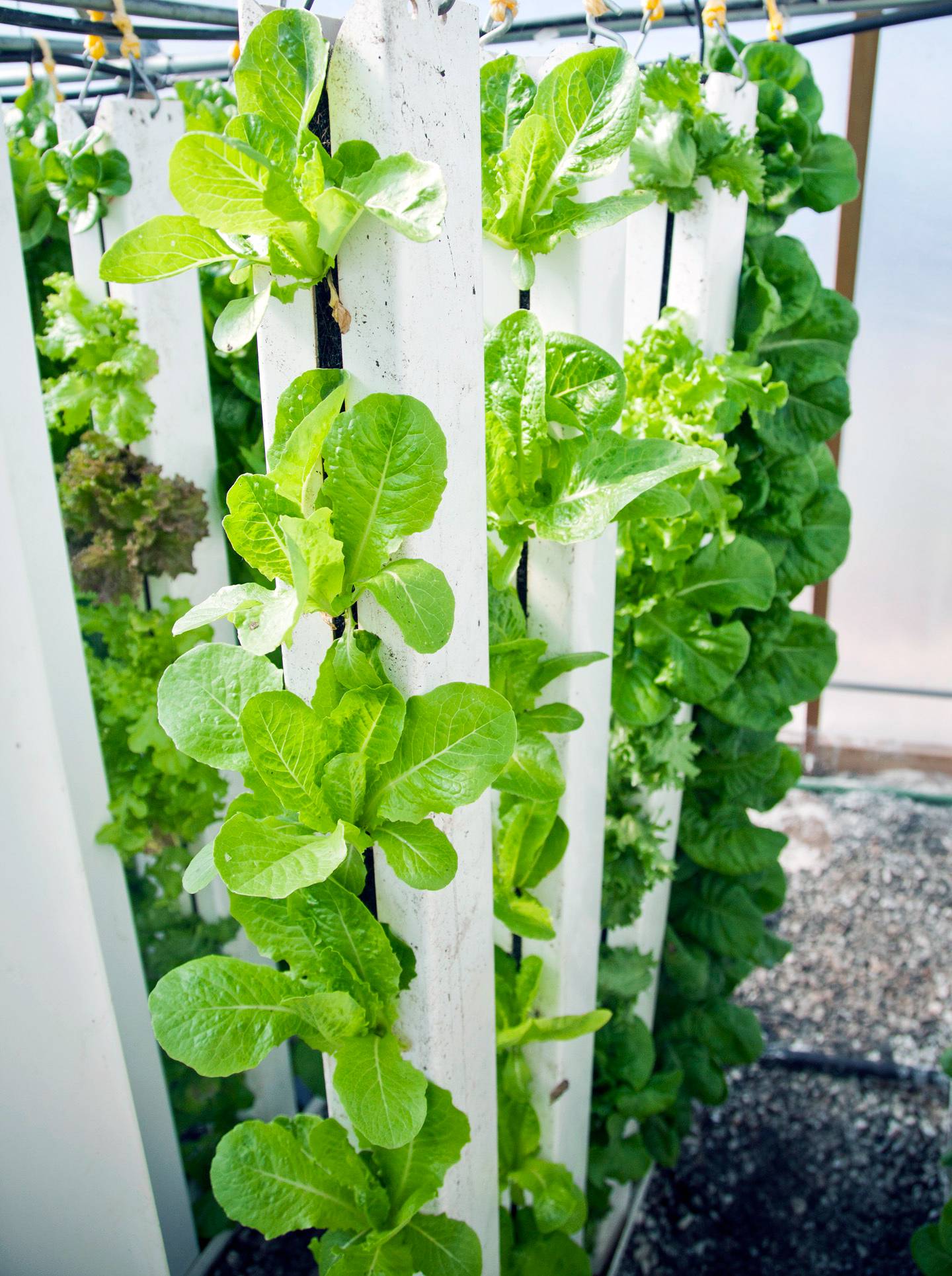 Paisajismo | Jardinería | Parquización | PAIZEN